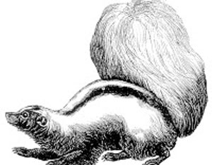 Belonging: When New Farmers Feel Like Outsiders Image